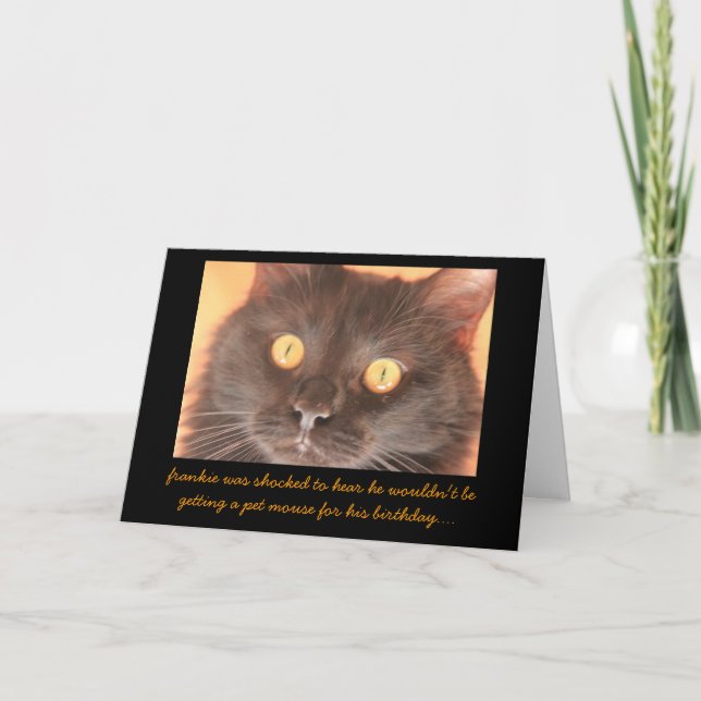 Carte Drôle Shocked Chat Anniversaire Carte, voeux d'ann (Devant)