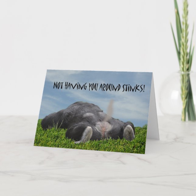 Carte Drôle singe humoristique Mlle Vous (Devant)