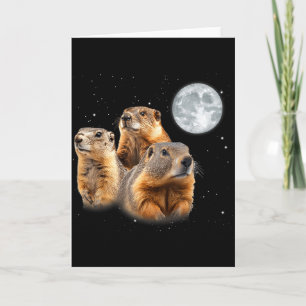 Carte Drôle Trois Jour de la marmotte Lune Jour de la ma