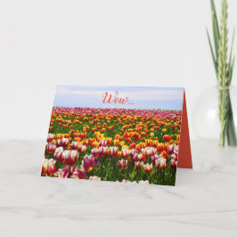 Carte Drôle, tulipes, fleurs, colorées, pâques