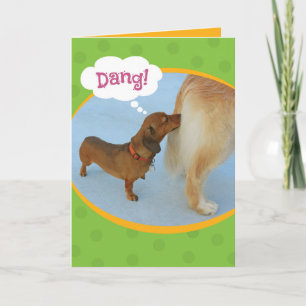 Carte Drôle Wiener Sniffer Golden Retiever Anniversaire
