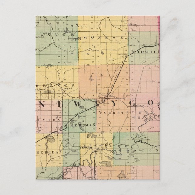 Carte du comté de Newaygo, Michigan (Devant)