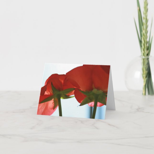 Carte du fond de rose rouge (Devant)