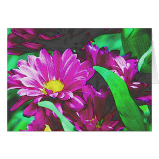 Carte du jardin du geai