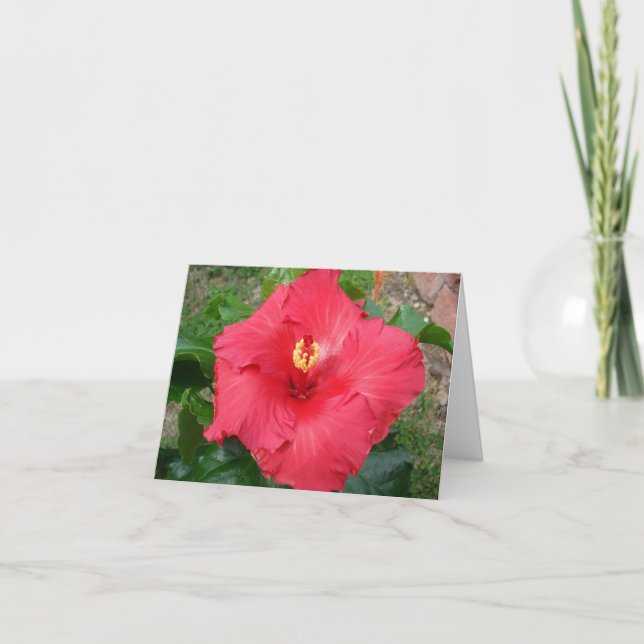 Carte du jour de mère (Devant)