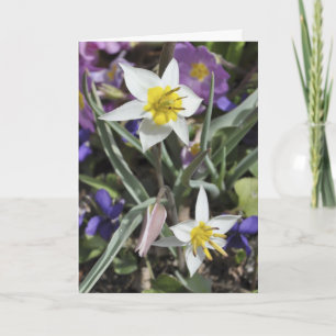 Carte du jour de mère de tulipe d'espèces
