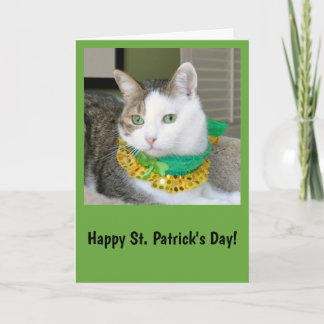 Carte du jour de St Patrick de chat
