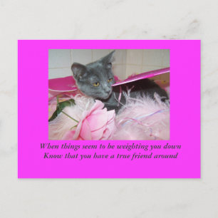 carte du mauvais jour.