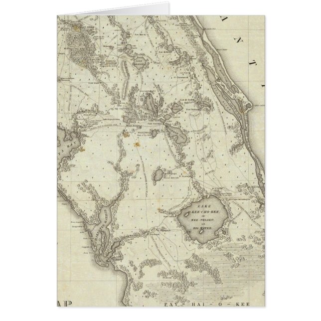 Carte Du Siège De La Guerre En Floride (Devant)