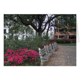 Carte du sud d'hospitalité