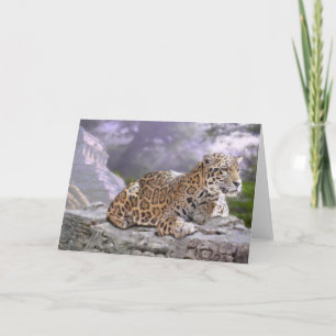 Carte du temple de Jaguar et Maya