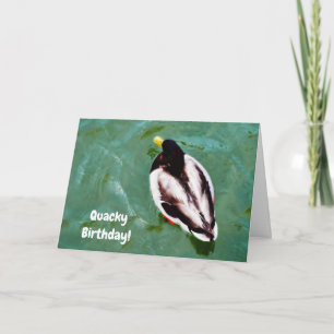 Carte Duck Ducky Quacky Birthday Card
