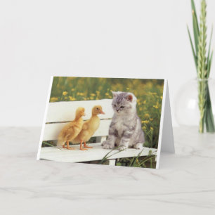 Carte Duckheap et un ami interviewer chaton.