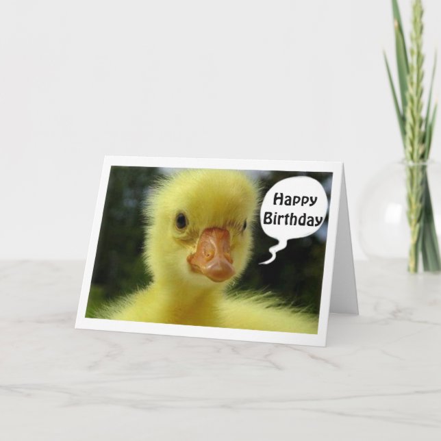 CARTE DUCKLING ESPÈRE QUE VOTRE ANNIVERSAIRE SERA "JUST  (Devant)