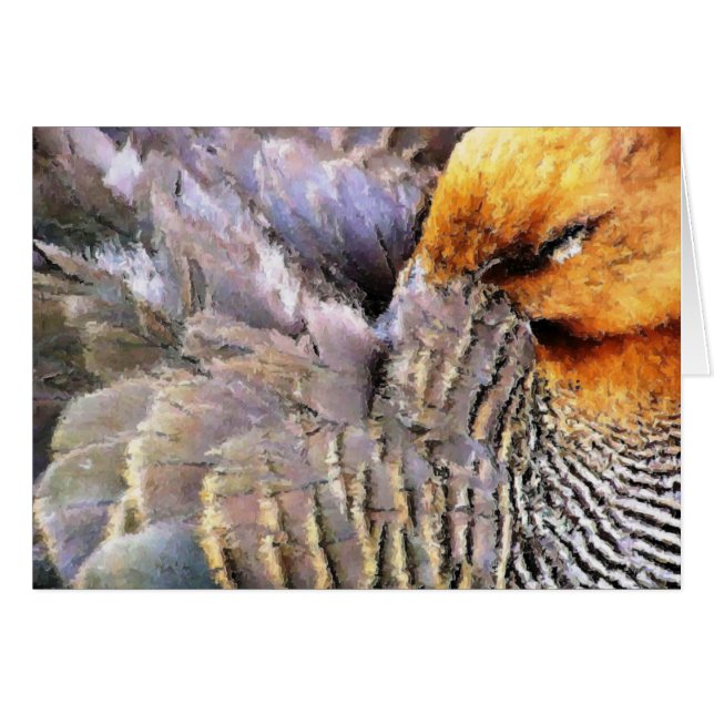 CARTE DUCKS (Devant horizontal)