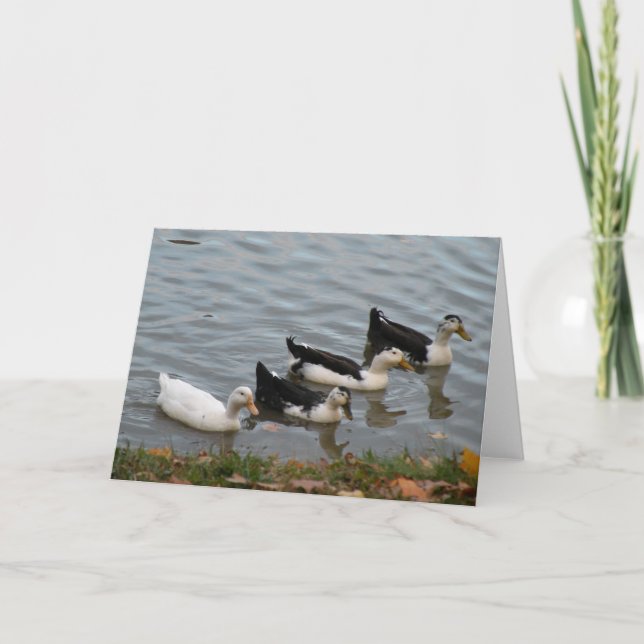 Carte Ducks (Devant)