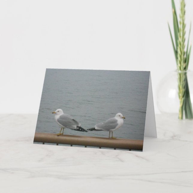 Carte "Duluth Seagulls" (Devant)