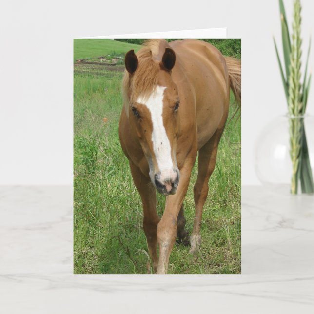 Carte Dunnit (Devant)