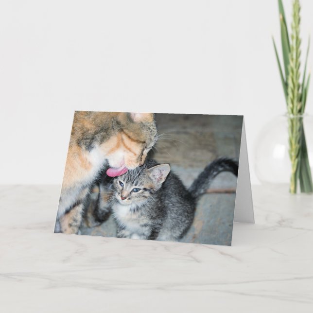 Carte Durée du bain (Devant)