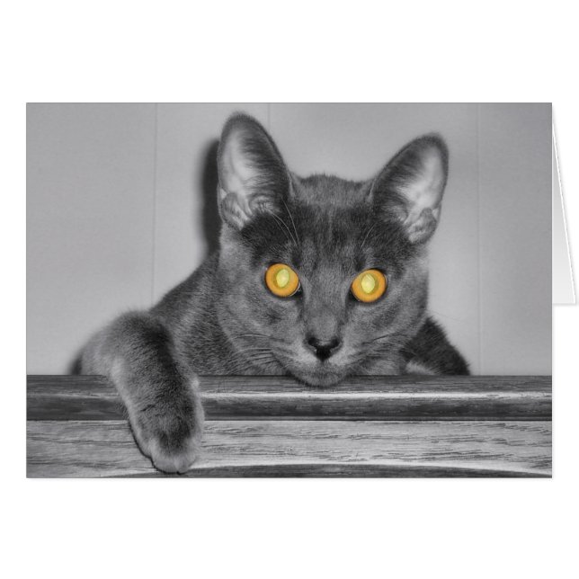 Carte Dusky Gold (Devant horizontal)