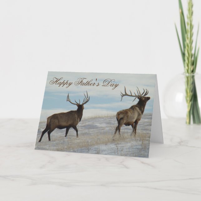 Carte E57 Bull Elk Lucky 13 Bull (Devant)
