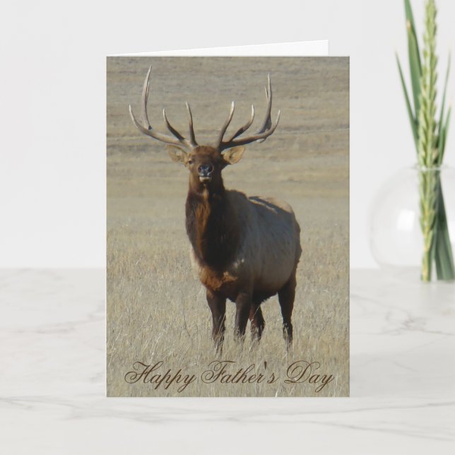 Carte E59 Bull Elk (Devant)