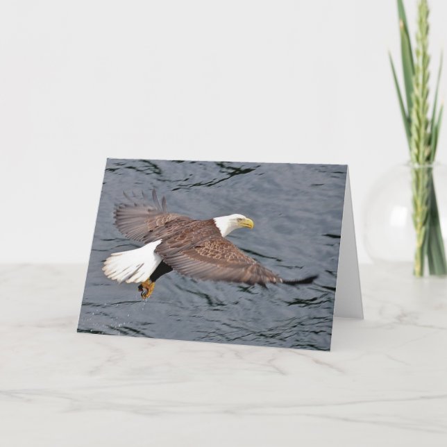 Carte Eagle d'Alaska (Devant)