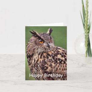 Carte Eagle Owl Birthday Card
