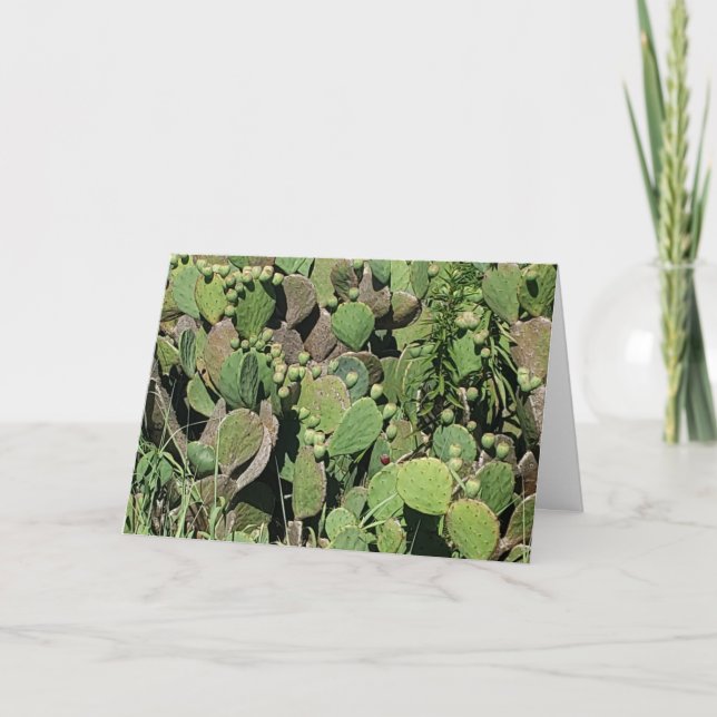 Carte "East Coast Cacti" de vœux de rétablissement (Devant)