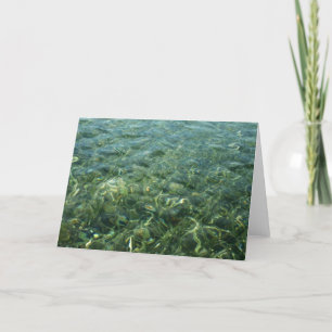 Carte Eau au-dessus de la mer Herbe I Caraïbes Nature