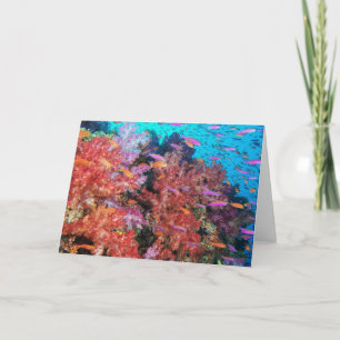 Carte Éclaboussure de couleur des Fidji