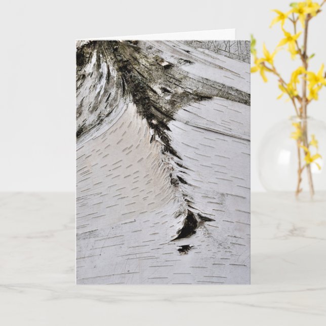 Carte Écorce Aspen - Gros plan (Fleur jaune)