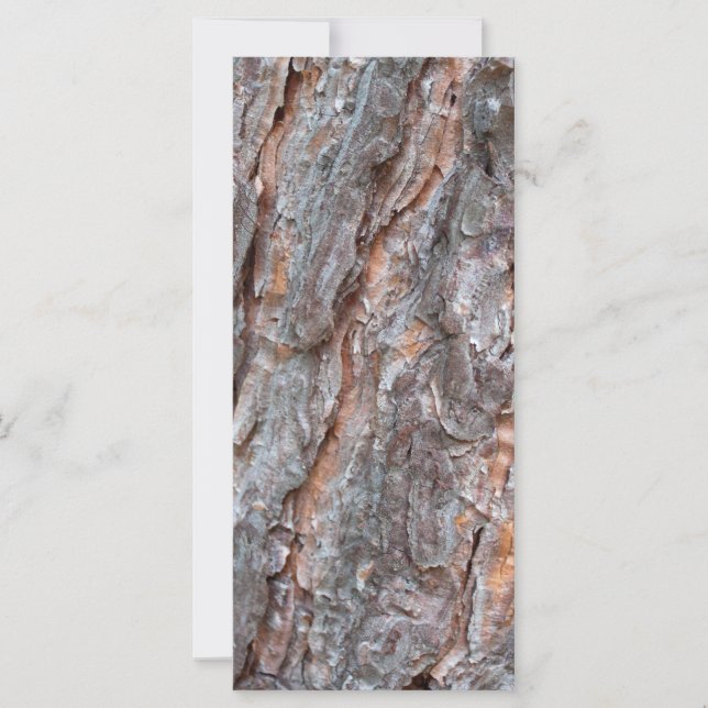 Carte écorce de pin (Devant)