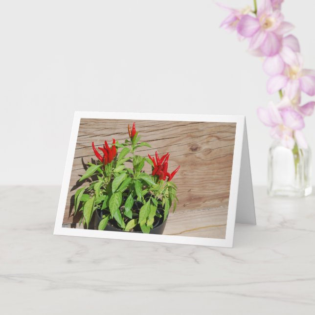 Carte Écran Plante Red Chili Pepper (Orchidée)