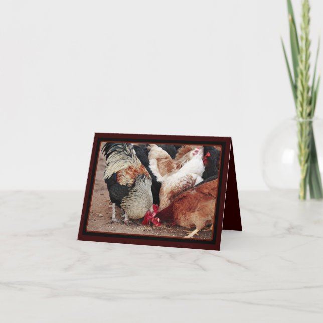 Carte Écratère de poulet (Devant)