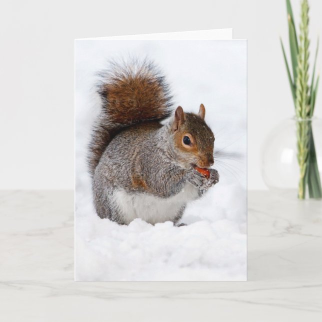Carte Écureuil dans la neige (Devant)