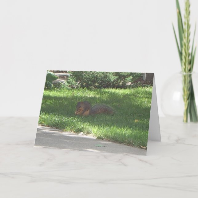 Carte Écureuil de jazz d'anniversaire (Devant)