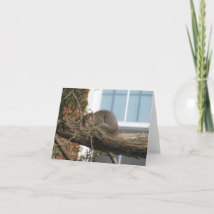 Carte Écureuil de sommeil