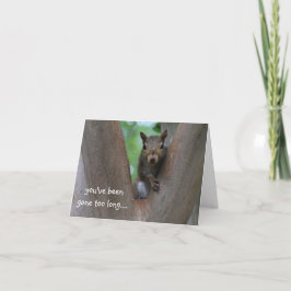 Carte Écureuil solitaire dans l'arbre, tu me manques