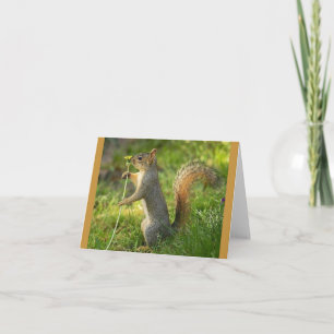 Carte Écureuil trouvé avec l'image de pissenlit