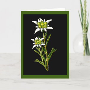 Carte Edelweiss Custom Greeting Card