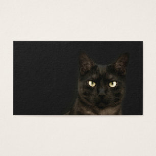 carte éffrayante de profil de chat