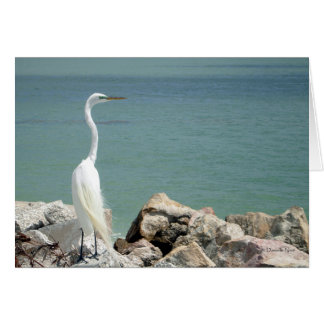 Carte Egret Neige