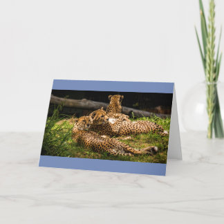 Carte Eh bien, je ne peux pas le voir !