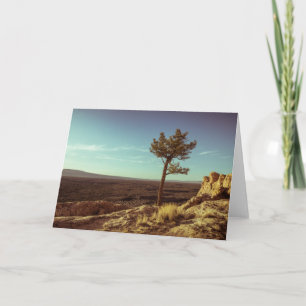 Carte El Malpais, Nouveau-Mexique Photo Paysage