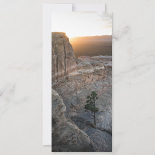 Carte El Malpais Sandstone Bluffs