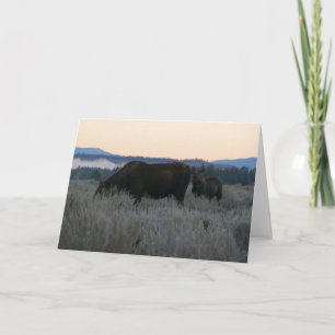 Carte Élan paissant au lever du soleil à Grand Teton