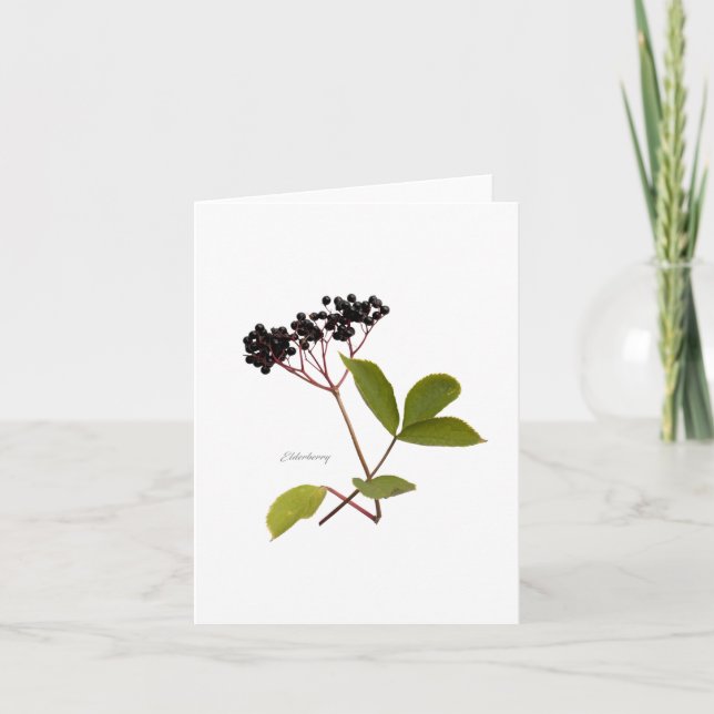 Carte Elderberry (Devant)