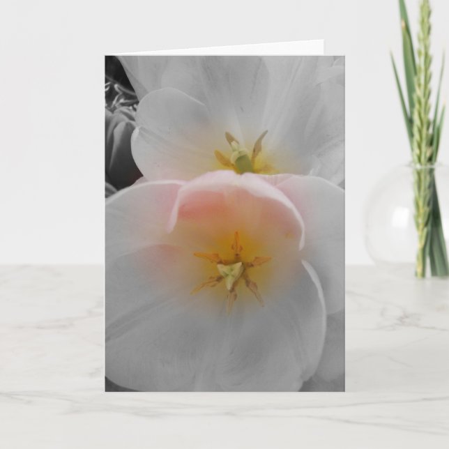 Carte Élégance (Devant)