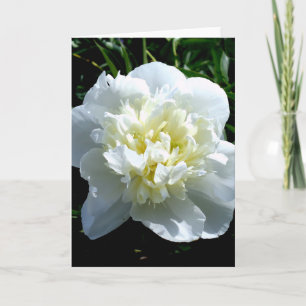 Carte Elégant blanc peony floral blanc photo